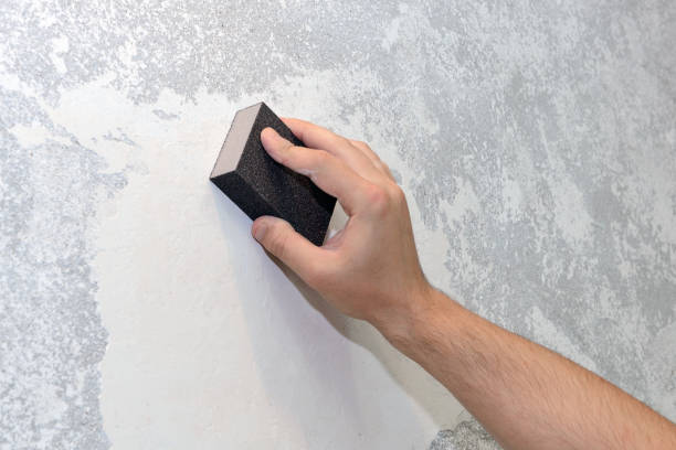 Best Attic Mold Removal  in Turpin Hills, OH