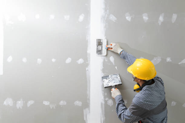 Best Mold Remediation for Healthcare Facilities  in Turpin Hills, OH