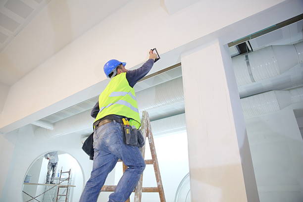 Best Basement Mold Removal  in Turpin Hills, OH