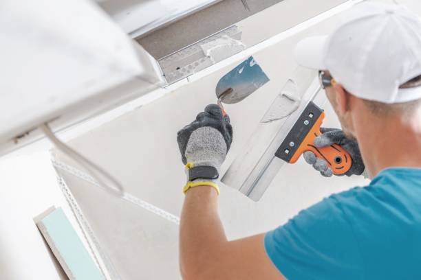 Best Forensic Mold Investigation  in Turpin Hills, OH